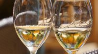 Soiul de vin Sauvignon Blanc